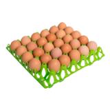 Munakenno 30 munalle muovi